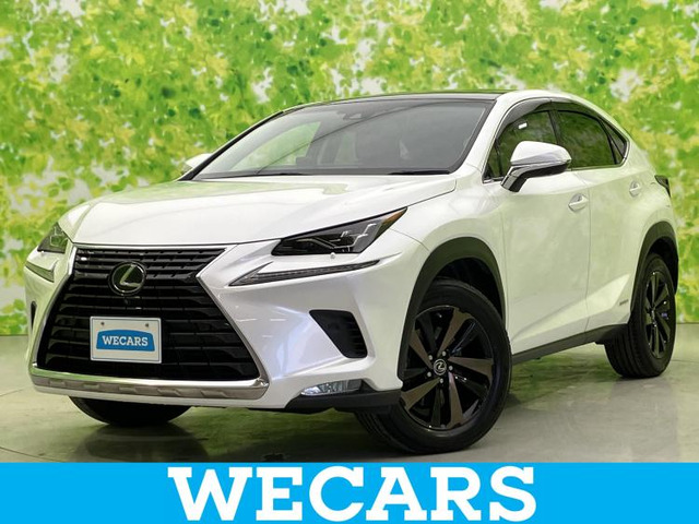 NX300h バージョンL