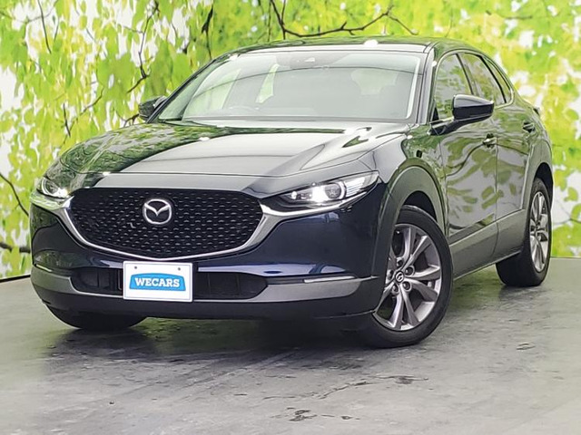 CX-302.0 20S プロアクティブ