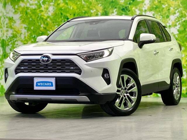 RAV4（トヨタ）の中古車 | 中古車情報・中古車検索なら【車選びドット