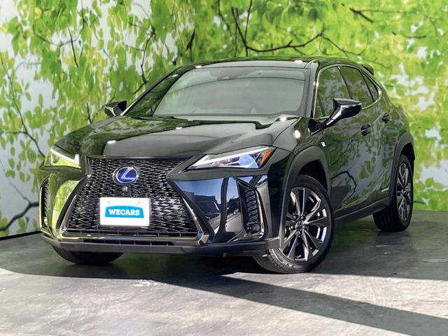 UX250h Fスポーツ