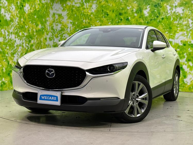 CX-301.8 XD Lパッケージ