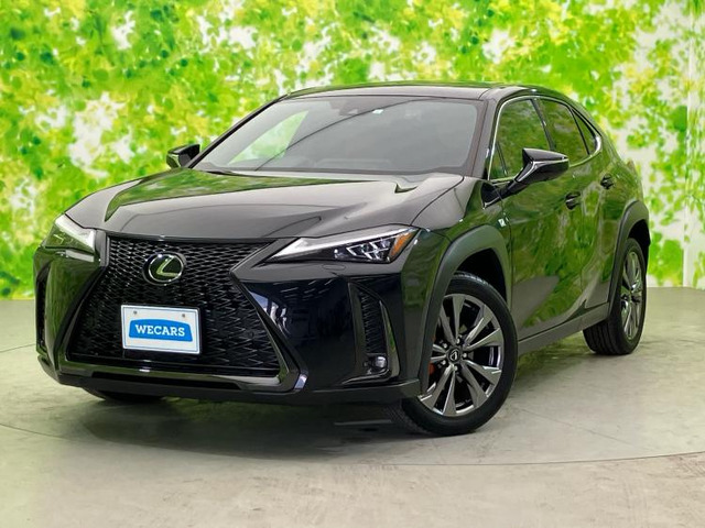 UX250h Fスポーツ