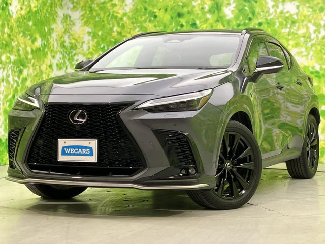 NX350h Fスポーツ