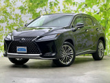 RX 300 バージョンL 