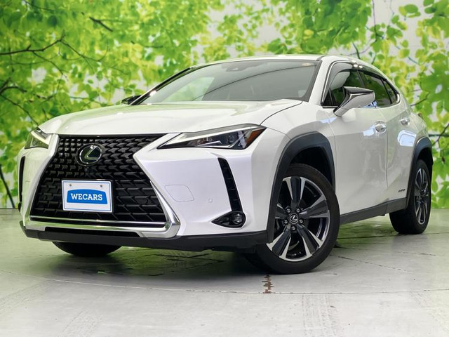 UX250h バージョンC