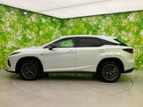 RX 300 Fスポーツ 