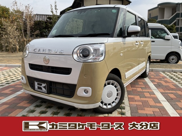 ムーヴキャンバス  ストライプス G