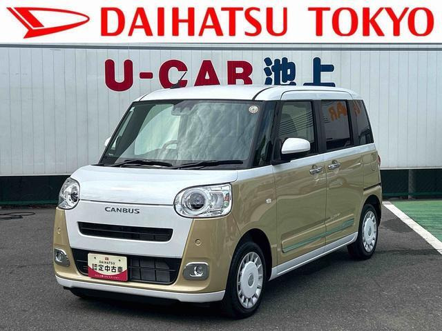 ムーヴキャンバス  ストライプス G