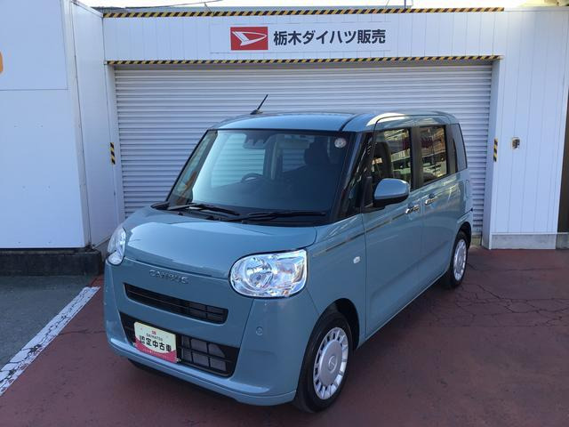 ムーヴキャンバスセオリー X