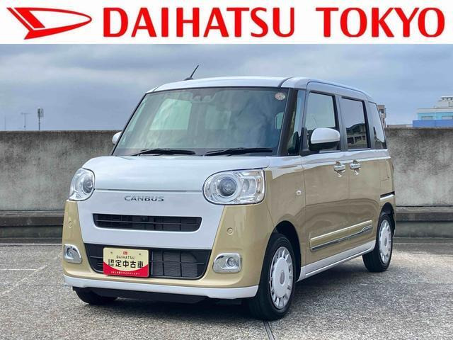 ムーヴキャンバス  ストライプス G