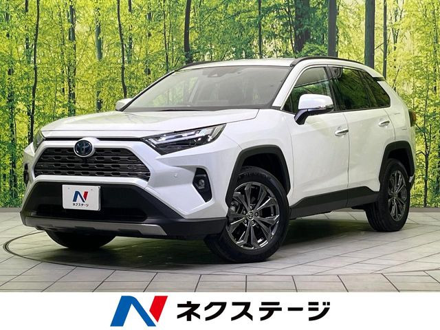 RAV4 2.5 ハイブリッド G E-Four 4WD （6AA-AXAH54）