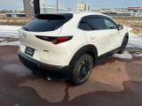 CX-30 2.0 X プロアクティブ ツーリングセレクション 4WD 