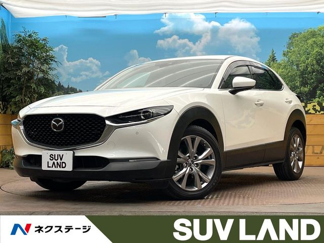 CX-301.8 XD プロアクティブ