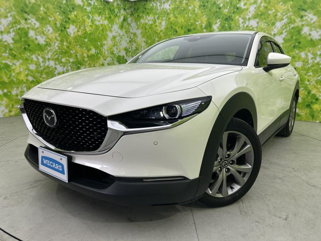 CX-301.8 XD Lパッケージ