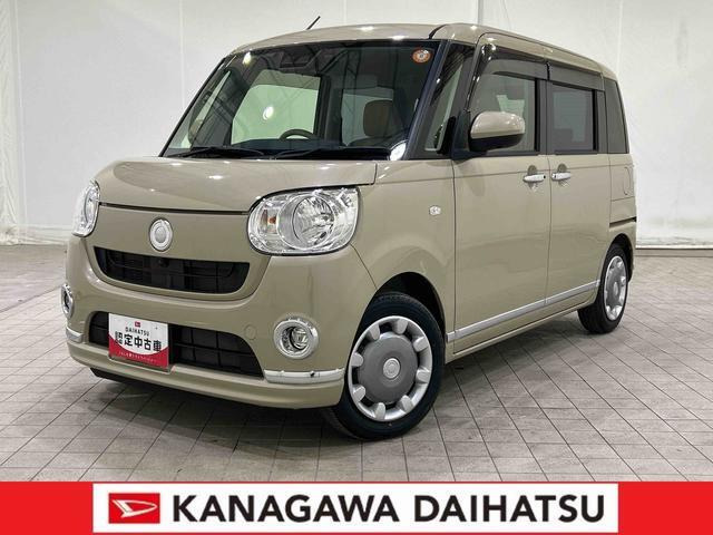 ムーヴキャンバス X リミテッド メイクアップ SAIII