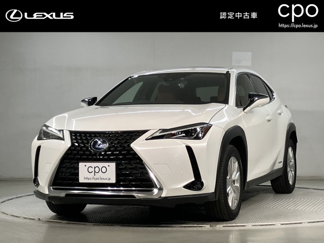 UX 250h バージョンC 