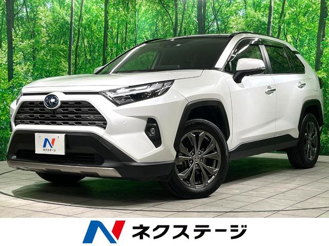 RAV4 2.5 ハイブリッド G E-Four 4WD （6AA-AXAH54）