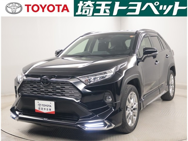 RAV4 2.0 G Zパッケージ 4WD（6BA-MXAA54）