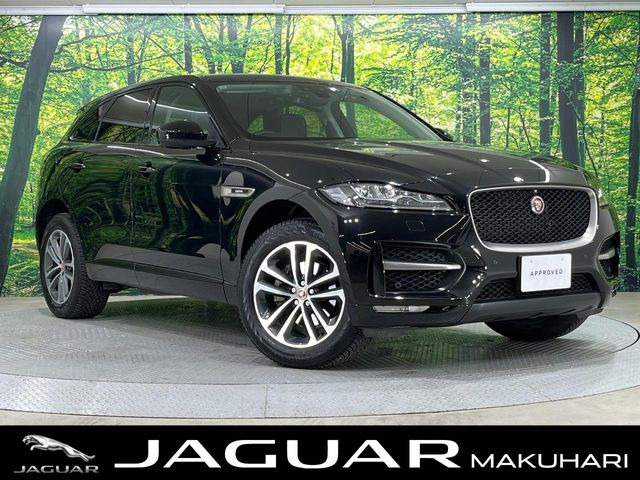 FペイスR-スポーツ