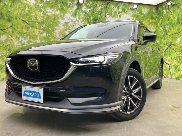 CX-52.2 XD