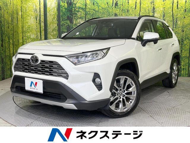 RAV4 2.0 G Zパッケージ 4WD （6BA-MXAA54）