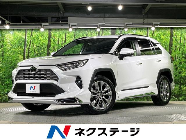 RAV4 2.0 G Zパッケージ 4WD （6BA-MXAA54）