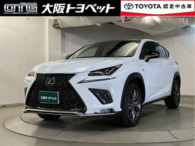 NX 300 Fスポーツ （DBA-AGZ10）