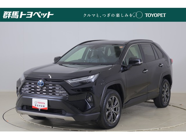 RAV4 2.5 ハイブリッド G E-Four 4WD （6AA-AXAH54）