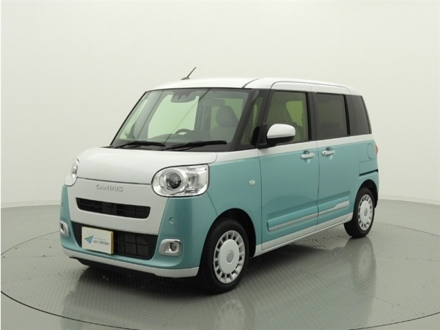 ムーヴキャンバス  ストライプス G