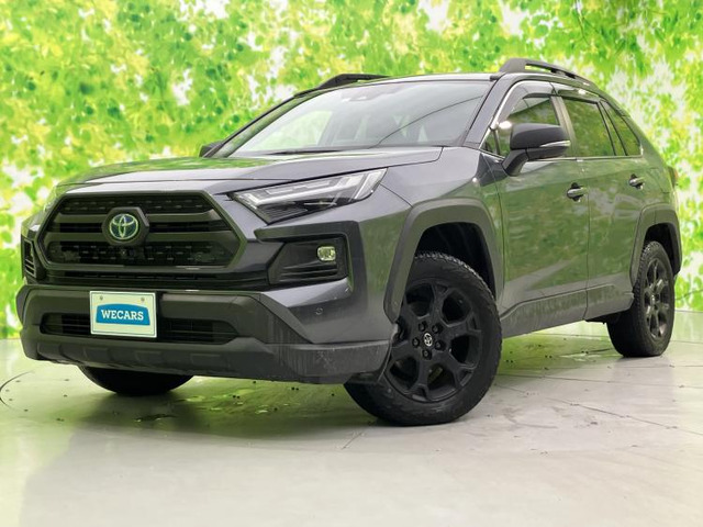 RAV4 2.5 ハイブリッド アドベンチャー オフロードパッケージ II E-Four 4WD 