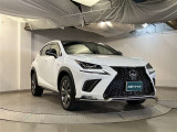 NX 300 Fスポーツ 