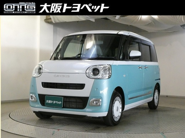 ムーヴキャンバス  ストライプス G