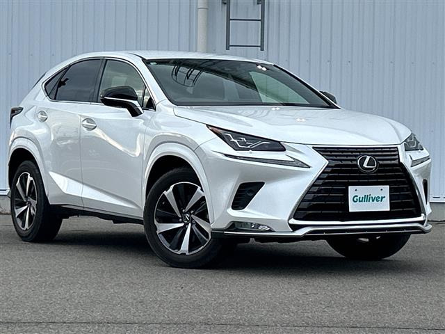 NX300 スパイス&シック修復歴無し