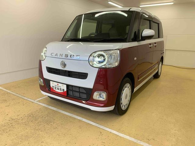 ムーヴキャンバス  ストライプス G