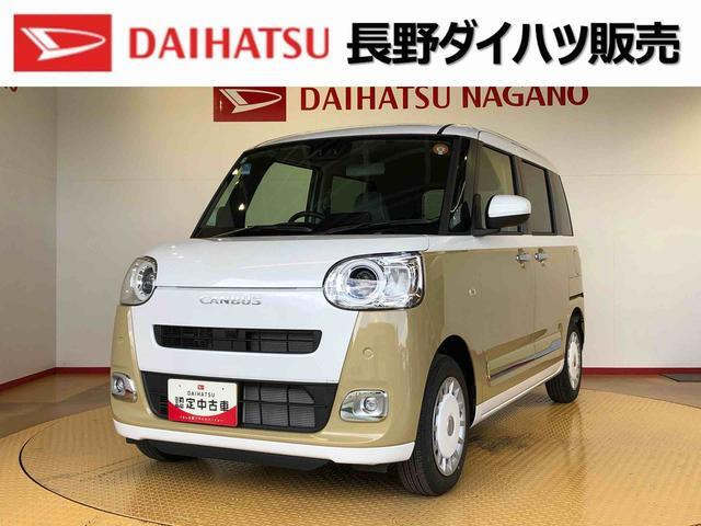 ムーヴキャンバス  ストライプス G