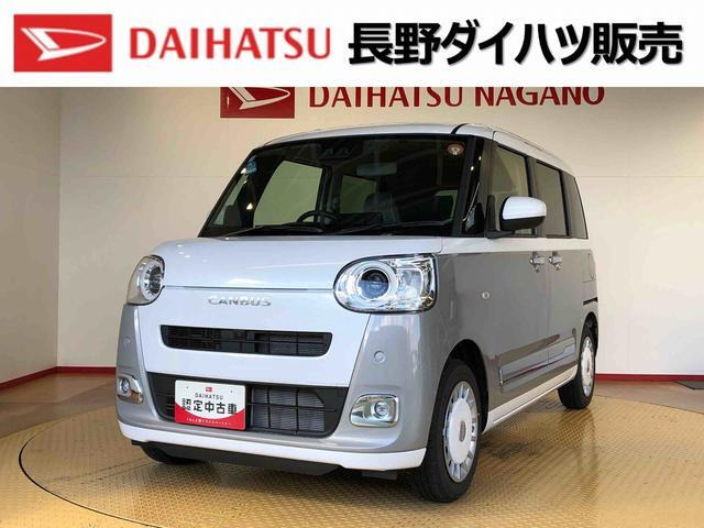 ムーヴキャンバス  ストライプス G