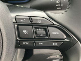 前方の車との車間を設定し、スピードを上げたり緩めたりを自動で行ってくれる追尾式の「レーダークルーズ」。上級装備の一つです!高級車にしかつかない嬉しい機能です。
