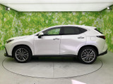 NX 250 バージョンL 4WD 