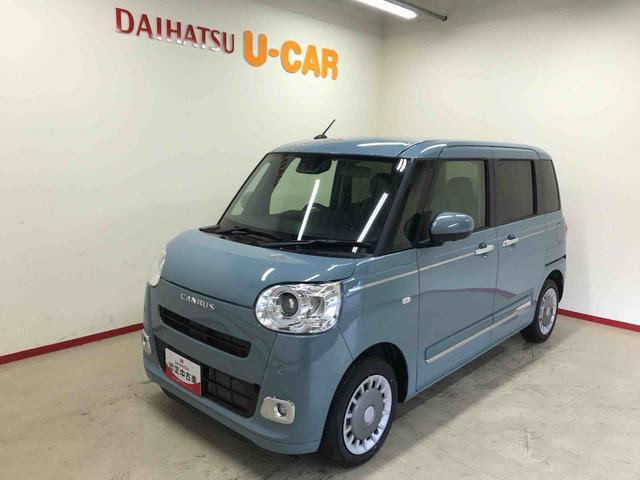 ムーヴキャンバス  セオリー G