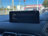 【ナビソース】デジタルTVや、FM・AMチューナー、Bluetooth機能などが選択できます。