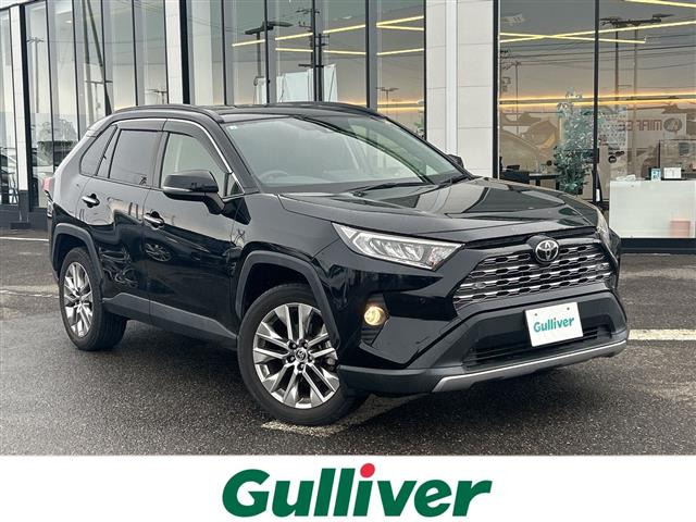 RAV4 2.0 G Zパッケージ 4WD 4WD 本革シート（6BA-MXAA54）