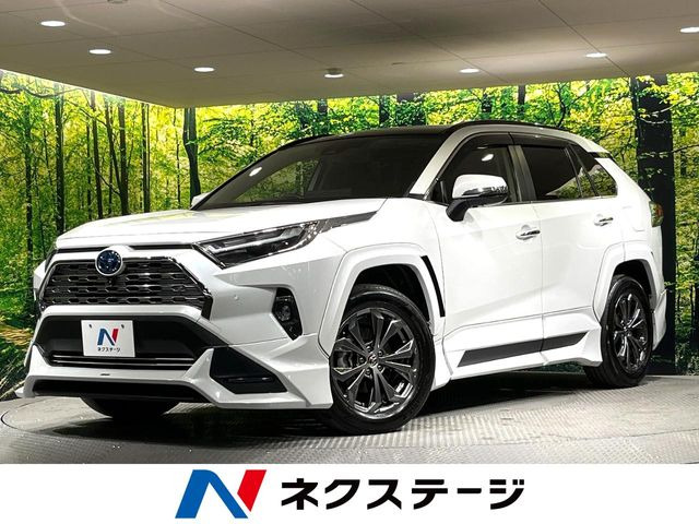 RAV4 2.5 ハイブリッド G E-Four 4WD （6AA-AXAH54）