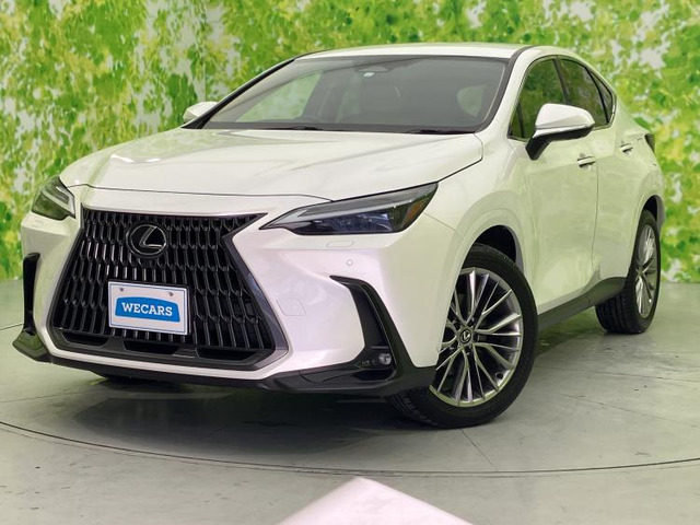 NX 250 バージョンL 4WD 