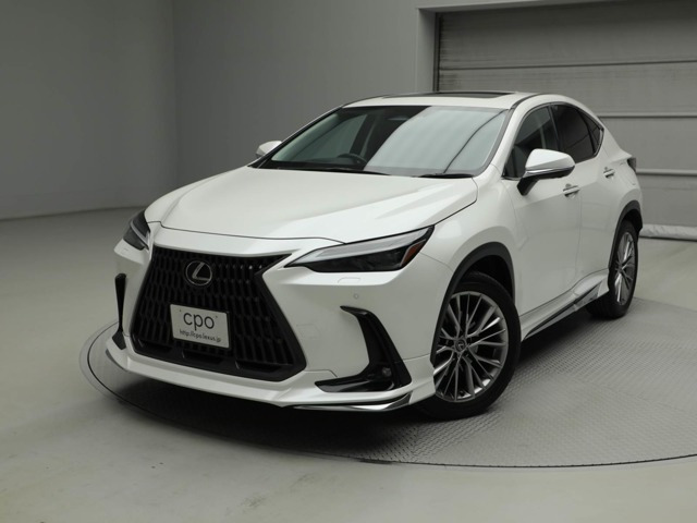 NX 250 バージョンL NX 250 バージョンL（5BA-AAZA20）