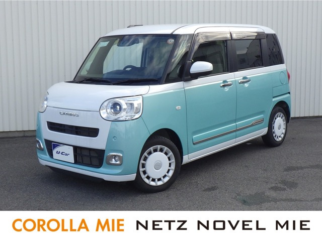 ムーヴキャンバス  ストライプス G