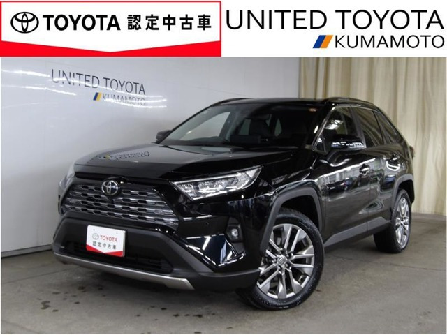 RAV4 2.0 G Zパッケージ 4WD（6BA-MXAA54）