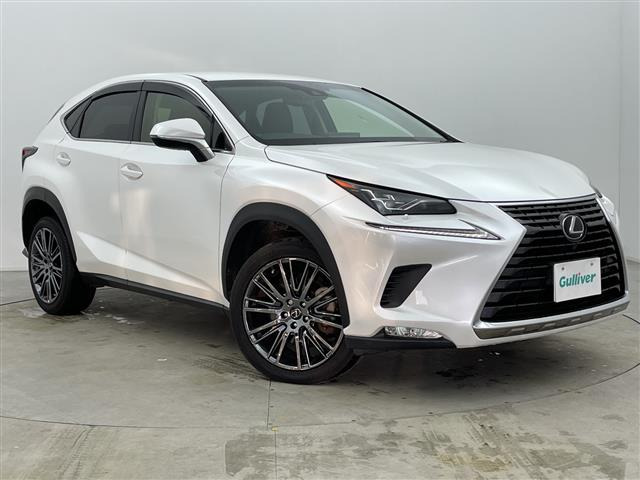 NX 300 Iパッケージ 本革シート ワンオーナー