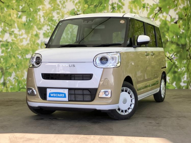 ムーヴキャンバス ストライプス G 