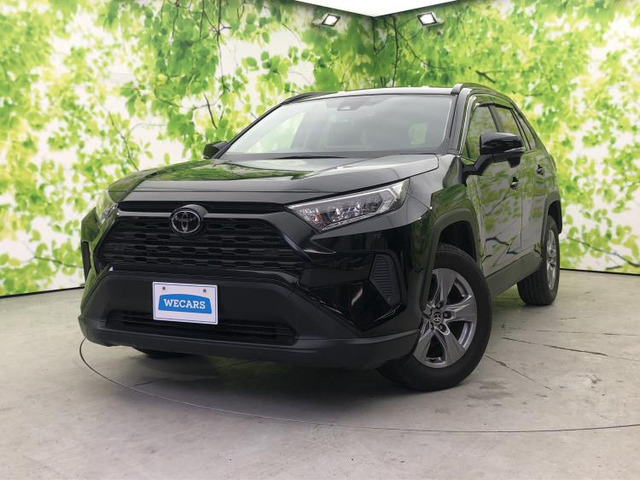 RAV42.0 X