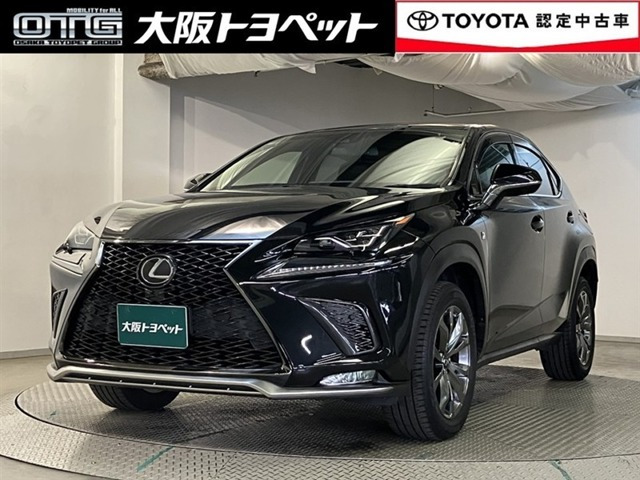 NX 300 Fスポーツ （DBA-AGZ10）